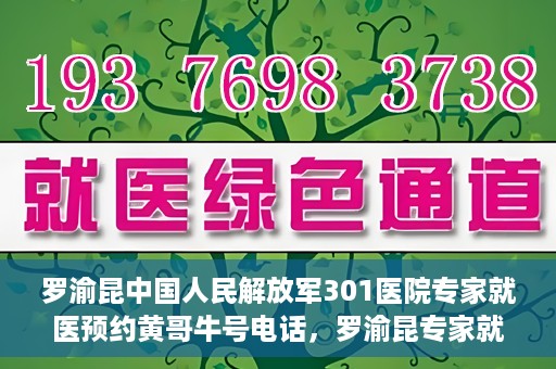 罗渝昆中国人民解放军301医院专家就医预约黄哥牛号电话，罗渝昆专家就医预约揭秘，中国人民解放军301医院黄哥牛号电话专线开通