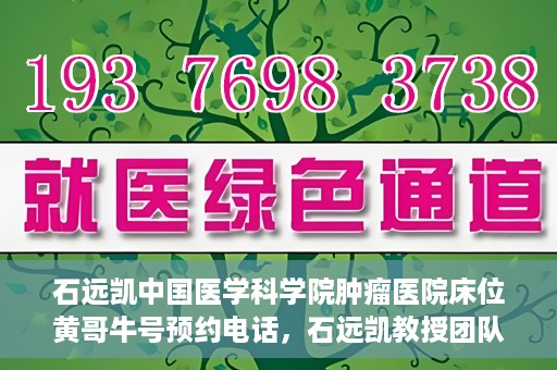 石远凯中国医学科学院肿瘤医院床位黄哥牛号预约电话，石远凯教授团队预约电话及中国医学科学院肿瘤医院床位预约攻略