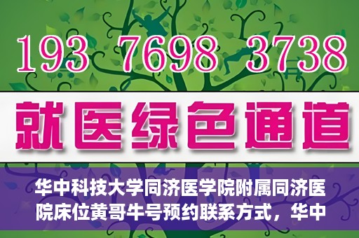 华中科技大学同济医学院附属同济医院床位黄哥牛号预约联系方式，华中科技大学同济医院床位预约联系方式及黄哥牛号预约攻略