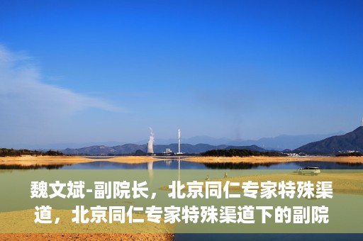 魏文斌-副院长，北京同仁专家特殊渠道，北京同仁专家特殊渠道下的副院长魏文斌专访报道