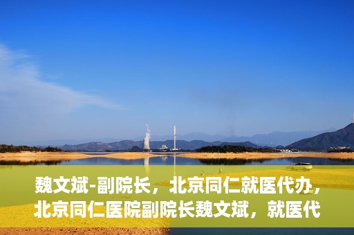 魏文斌-副院长，北京同仁就医代办，北京同仁医院副院长魏文斌，就医代办的专业解读与实践