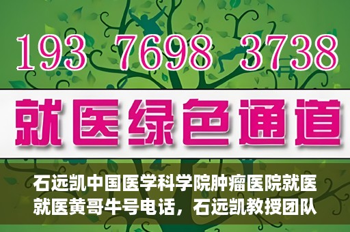石远凯中国医学科学院肿瘤医院就医就医黄哥牛号电话，石远凯教授团队就医攻略，黄哥牛号电话预约与肿瘤医院就医指南