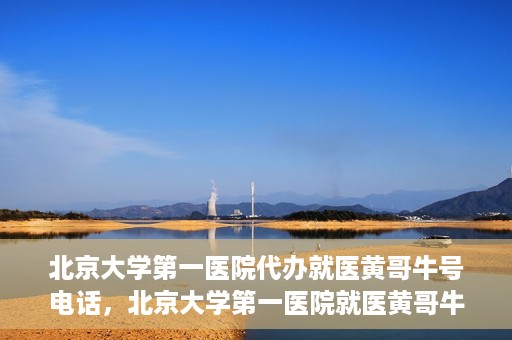 北京大学第一医院代办就医黄哥牛号电话，北京大学第一医院就医黄哥牛号代办服务电话揭秘