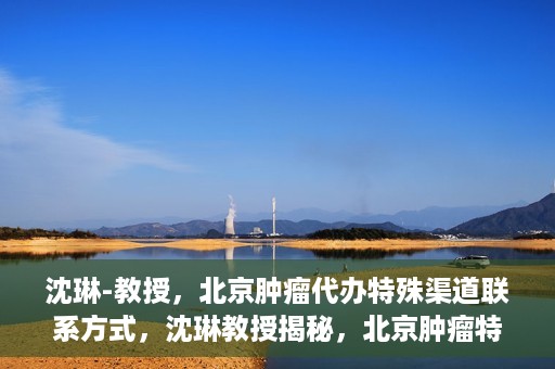 沈琳-教授，北京肿瘤代办特殊渠道联系方式，沈琳教授揭秘，北京肿瘤特殊渠道联系方式揭秘