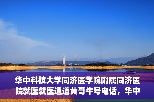 华中科技大学同济医学院附属同济医院就医就医通道黄哥牛号电话，华中科技大学同济医院就医通道详解，黄哥牛号电话一览无余