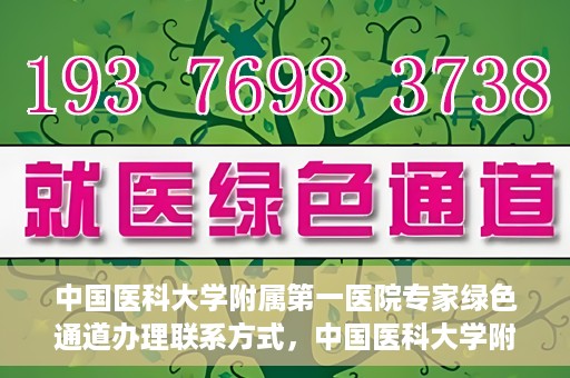中国医科大学附属第一医院专家绿色通道办理联系方式，中国医科大学附属第一医院专家绿色通道联系指南，一站式解决您的健康需求！