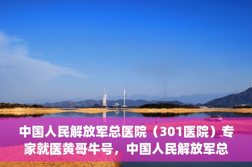 中国人民解放军总医院（301医院）专家就医黄哥牛号，中国人民解放军总医院（301医院）黄哥牛号专家就医解析