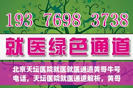 北京天坛医院就医就医通道黄哥牛号电话，天坛医院就医通道解析，黄哥牛号电话背后的就医故事