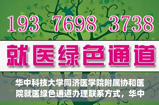 华中科技大学同济医学院附属协和医院就医绿色通道办理联系方式，华中科技大学同济医学院附属协和医院就医绿色通道联系指南