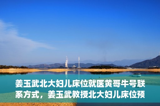 姜玉武北大妇儿床位就医黄哥牛号联系方式，姜玉武教授北大妇儿床位预约就医攻略，黄哥牛号联系方式揭秘