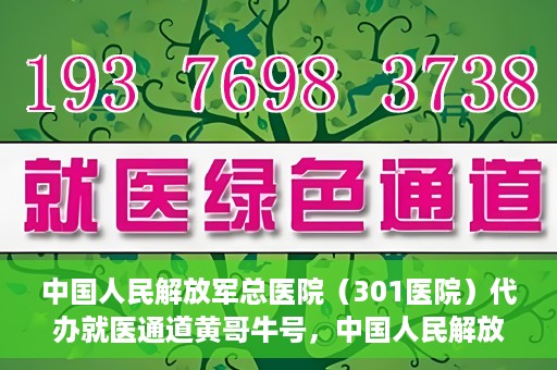 中国人民解放军总医院（301医院）代办就医通道黄哥牛号，中国人民解放军总医院（301医院）黄哥牛号就医通道代办服务解析
