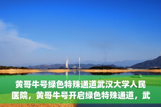 黄哥牛号绿色特殊通道武汉大学人民医院，黄哥牛号开启绿色特殊通道，武汉大学人民医院全力护航健康之路