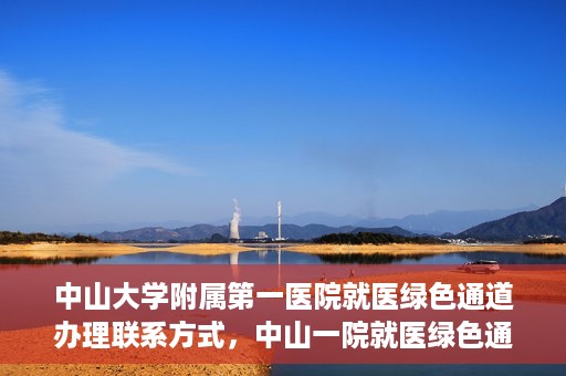 中山大学附属第一医院就医绿色通道办理联系方式，中山一院就医绿色通道办理指南，快速获取联系方式与流程解析