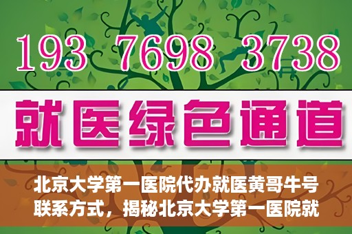 北京大学第一医院代办就医黄哥牛号联系方式，揭秘北京大学第一医院就医代办服务，黄哥牛号联系方式及代办攻略