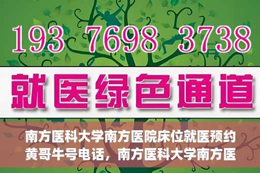 南方医科大学南方医院床位就医预约黄哥牛号电话，南方医科大学南方医院床位预约服务热线揭秘，黄哥牛号电话助您轻松就医