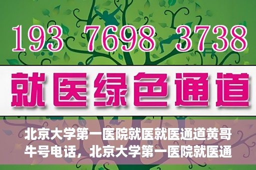 北京大学第一医院就医就医通道黄哥牛号电话，北京大学第一医院就医通道解析，黄哥牛号电话全解读