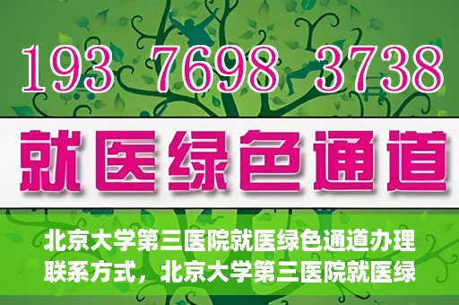 北京大学第三医院就医绿色通道办理联系方式，北京大学第三医院就医绿色通道办理指南，快速联系方式与办理流程解析