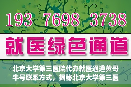 北京大学第三医院代办就医通道黄哥牛号联系方式，揭秘北京大学第三医院就医代办通道，黄哥牛号联系方式及操作指南