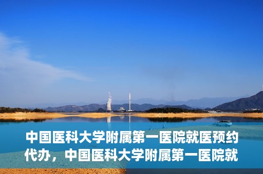 中国医科大学附属第一医院就医预约代办，中国医科大学附属第一医院就医预约代办服务详解