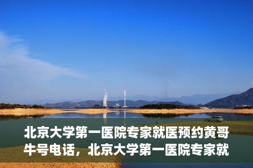 北京大学第一医院专家就医预约黄哥牛号电话，北京大学第一医院专家就医预约热线黄哥牛号电话全攻略