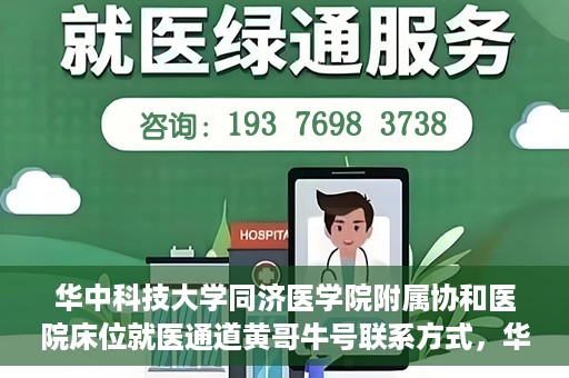 华中科技大学同济医学院附属协和医院床位就医通道黄哥牛号联系方式，华中科技大学同济医学院附属协和医院床位就医通道详解，黄哥牛号联系方式揭秘