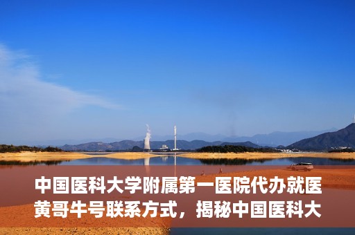 中国医科大学附属第一医院代办就医黄哥牛号联系方式，揭秘中国医科大学附属第一医院代办就医联系人黄哥牛号联系方式，专业服务的背后故事