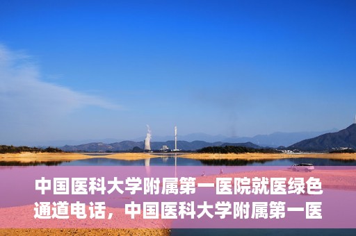 中国医科大学附属第一医院就医绿色通道电话，中国医科大学附属第一医院就医绿色通道服务热线电话解析及介绍