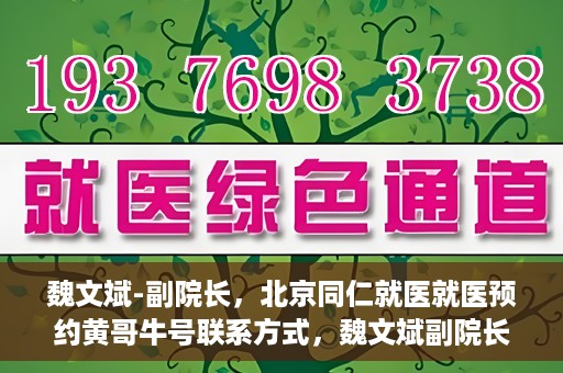 魏文斌-副院长，北京同仁就医就医预约黄哥牛号联系方式，魏文斌副院长与北京同仁医院预约就医秘籍，黄哥牛号联系方式揭秘