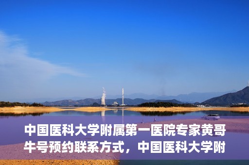 中国医科大学附属第一医院专家黄哥牛号预约联系方式，中国医科大学附属第一医院黄哥牛专家号预约联系方式及指南