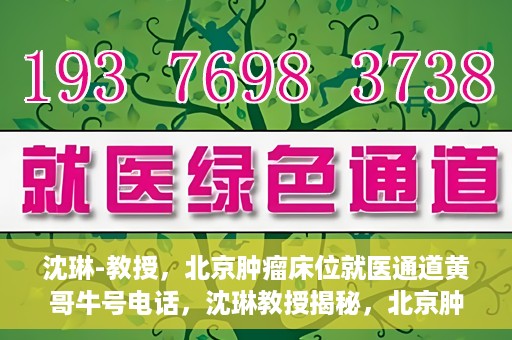 沈琳-教授，北京肿瘤床位就医通道黄哥牛号电话，沈琳教授揭秘，北京肿瘤床位就医通道与黄哥牛号电话的权威解读