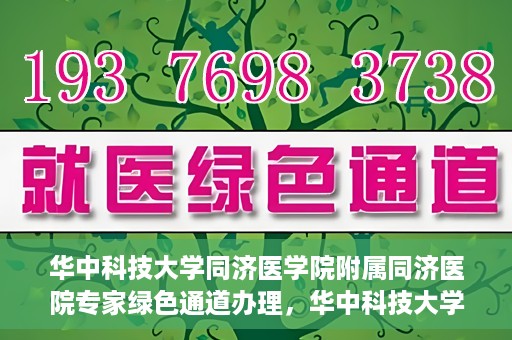华中科技大学同济医学院附属同济医院专家绿色通道办理，华中科技大学同济医学院附属同济医院专家绿色通道办理详解