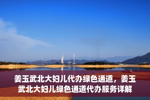 姜玉武北大妇儿代办绿色通道，姜玉武北大妇儿绿色通道代办服务详解