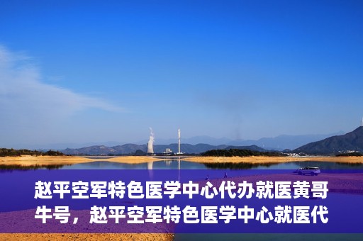 赵平空军特色医学中心代办就医黄哥牛号，赵平空军特色医学中心就医代办服务，黄哥牛号助您轻松挂号就医