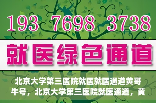 北京大学第三医院就医就医通道黄哥牛号，北京大学第三医院就医通道，黄哥牛号助您便捷就医体验