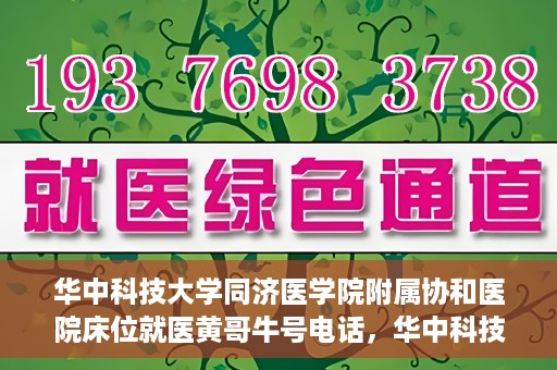 华中科技大学同济医学院附属协和医院床位就医黄哥牛号电话，华中科技大学同济医学院附属协和医院床位就医信息及黄哥牛号联系电话揭秘