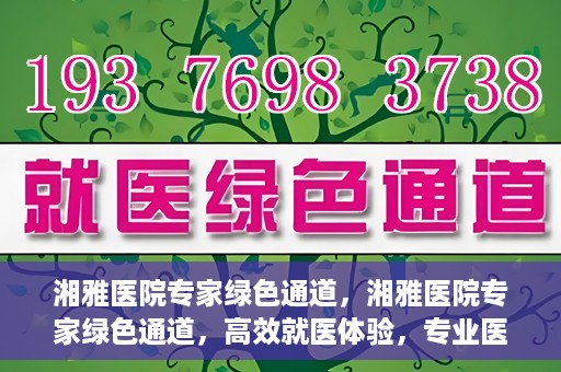 湘雅医院专家绿色通道，湘雅医院专家绿色通道，高效就医体验，专业医疗服务的快速通道