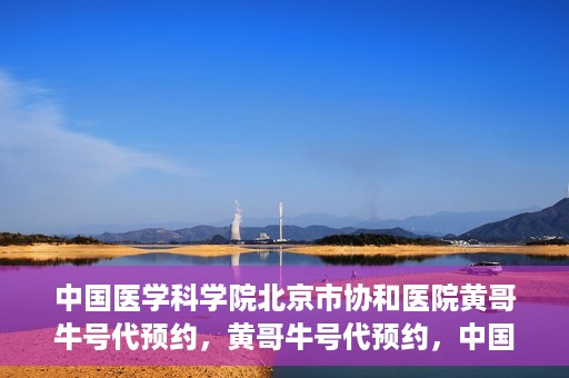 中国医学科学院北京市协和医院黄哥牛号代预约，黄哥牛号代预约，中国医学科学院北京市协和医院挂号新途径探索
