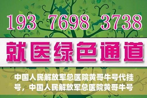 中国人民解放军总医院黄哥牛号代挂号，中国人民解放军总医院黄哥牛号代挂号解析，揭秘挂号背后的故事