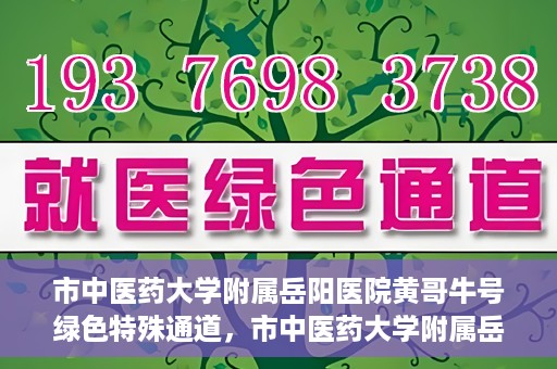 市中医药大学附属岳阳医院黄哥牛号绿色特殊通道，市中医药大学附属岳阳医院黄哥牛号，绿色特殊通道开启健康之门