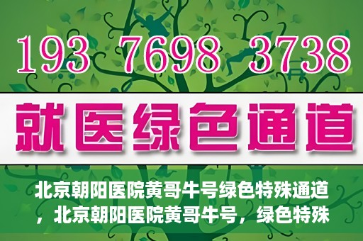 北京朝阳医院黄哥牛号绿色特殊通道，北京朝阳医院黄哥牛号，绿色特殊通道开启健康之门