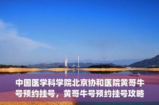 中国医学科学院北京协和医院黄哥牛号预约挂号，黄哥牛号预约挂号攻略，中国医学科学院北京协和医院就医指南