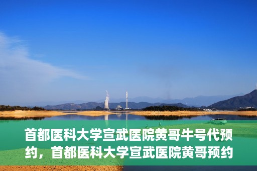 首都医科大学宣武医院黄哥牛号代预约，首都医科大学宣武医院黄哥预约代挂号服务解析