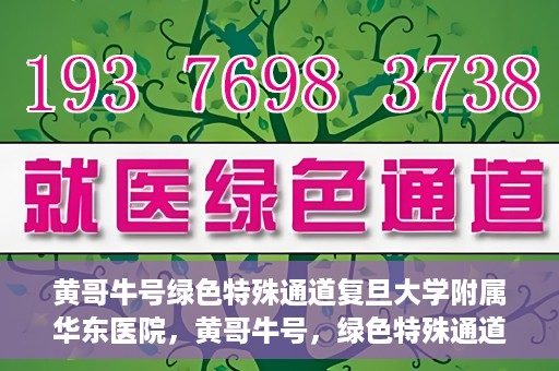 黄哥牛号绿色特殊通道复旦大学附属华东医院，黄哥牛号，绿色特殊通道揭秘，华东医院新篇章开启