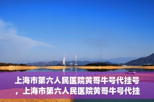 上海市第六人民医院黄哥牛号代挂号，上海市第六人民医院黄哥牛号代挂号攻略揭秘