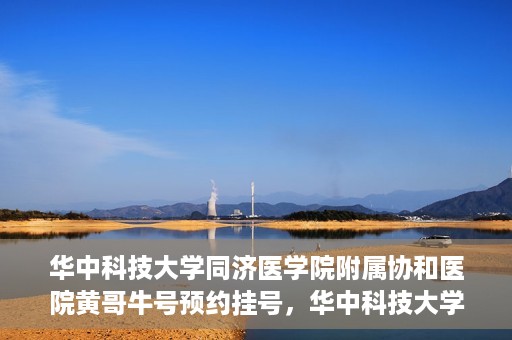 华中科技大学同济医学院附属协和医院黄哥牛号预约挂号，华中科技大学同济医学院附属协和医院黄哥牛号预约挂号攻略解析