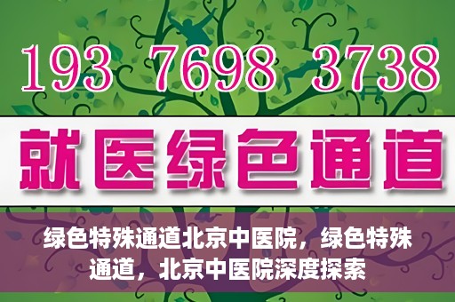 绿色特殊通道北京中医院，绿色特殊通道，北京中医院深度探索