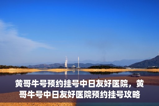 黄哥牛号预约挂号中日友好医院，黄哥牛号中日友好医院预约挂号攻略