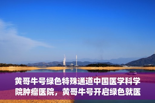 黄哥牛号绿色特殊通道中国医学科学院肿瘤医院，黄哥牛号开启绿色就医通道，中国医学科学院肿瘤医院专注诊疗新篇章
