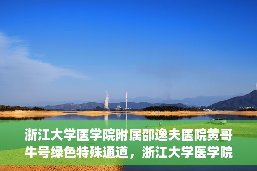 浙江大学医学院附属邵逸夫医院黄哥牛号绿色特殊通道，浙江大学医学院附属邵逸夫医院绿色特殊通道，黄哥牛号的传奇之路
