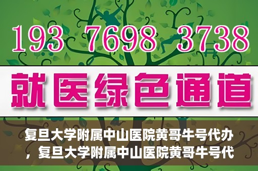 复旦大学附属中山医院黄哥牛号代办，复旦大学附属中山医院黄哥牛号代办，权威医疗资源的深度解读与便捷服务体验